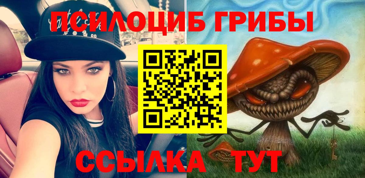 Псилоцибиновые грибы прущие грибы Ковров